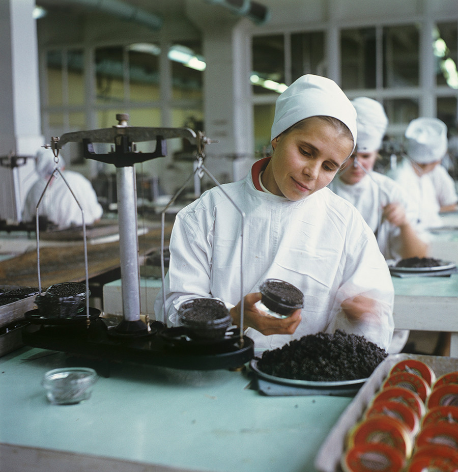 Caspian caviar-balyk production association. Caviar packing in caviar shop floor