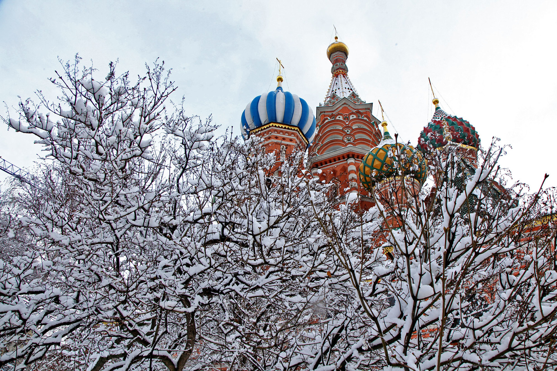 Ranting pepohonan berbalut salju di halaman Katedral Saint Basil, Moskow, Rabu (13/2).