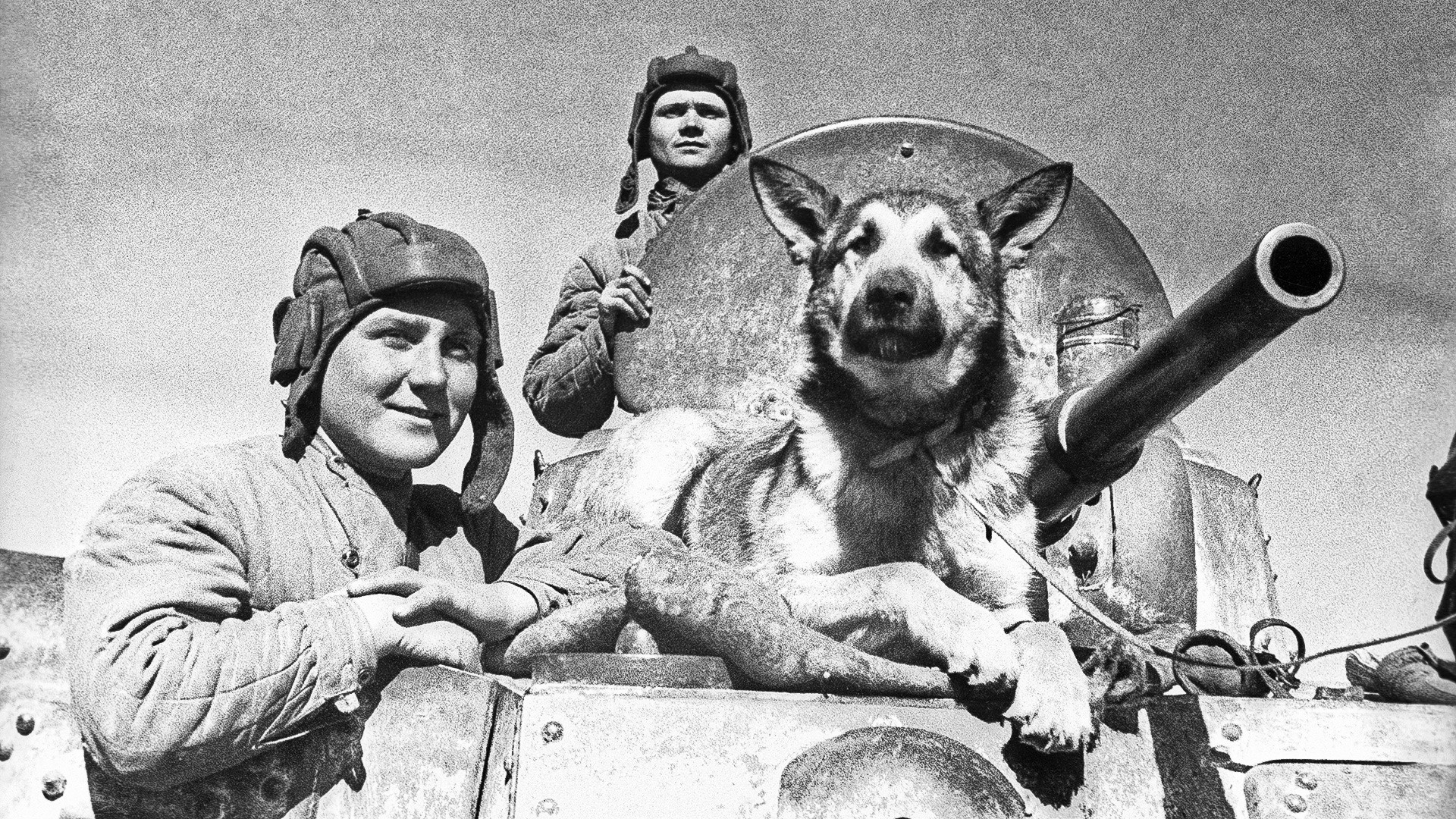 Велики отаџбински рат, Јужни фронт. Екипа оклопног возила  БА-10 са псом Џулбарсом.