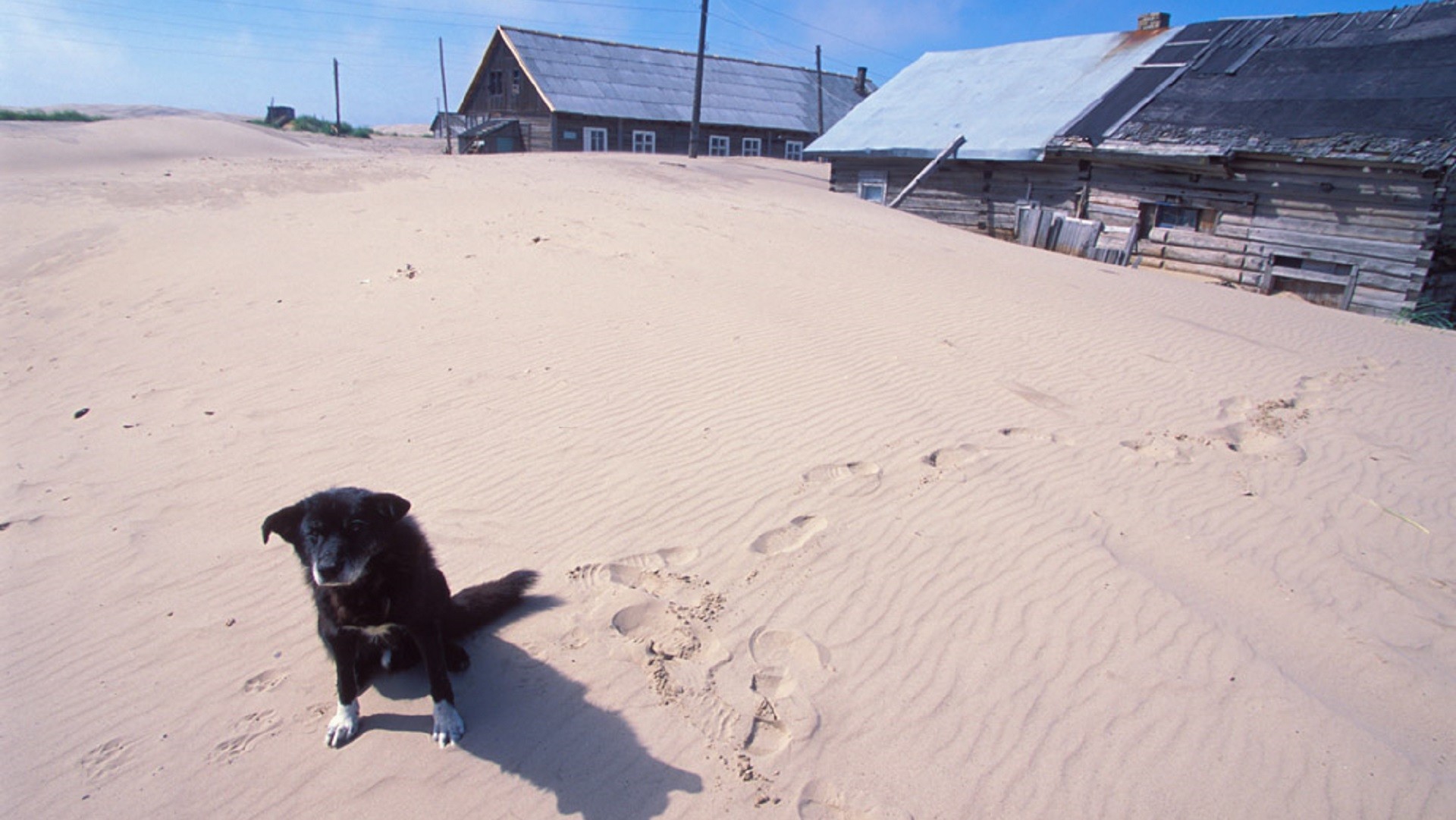 Alexei Golubtzov / Focus Pictures