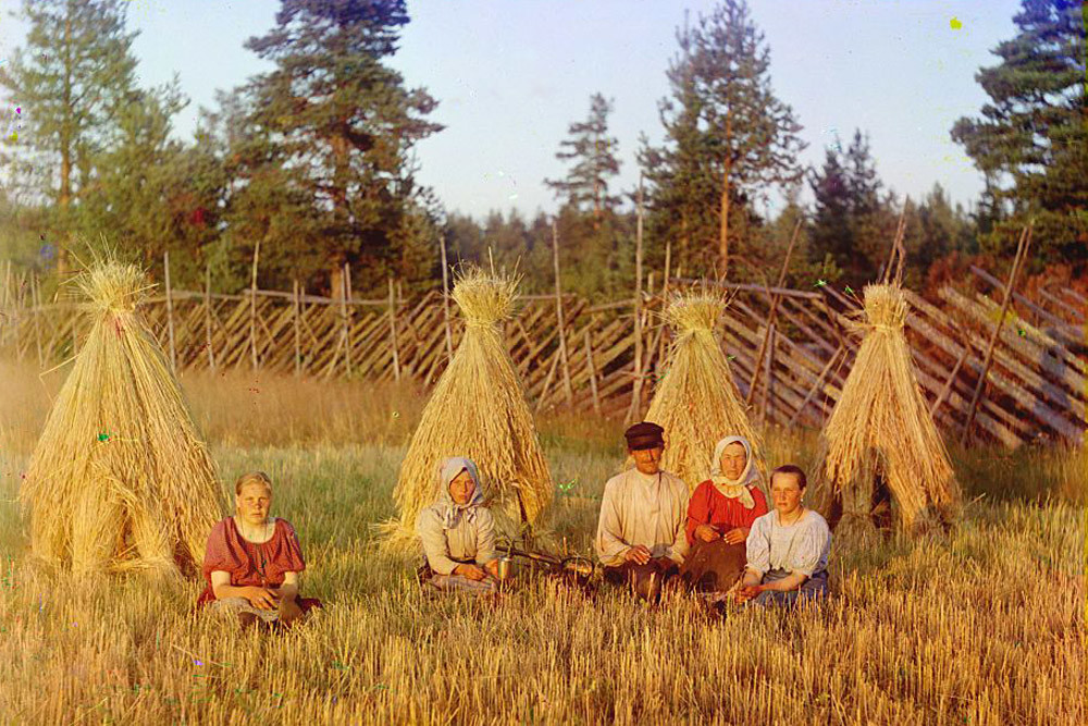 Época de colheita. 1909