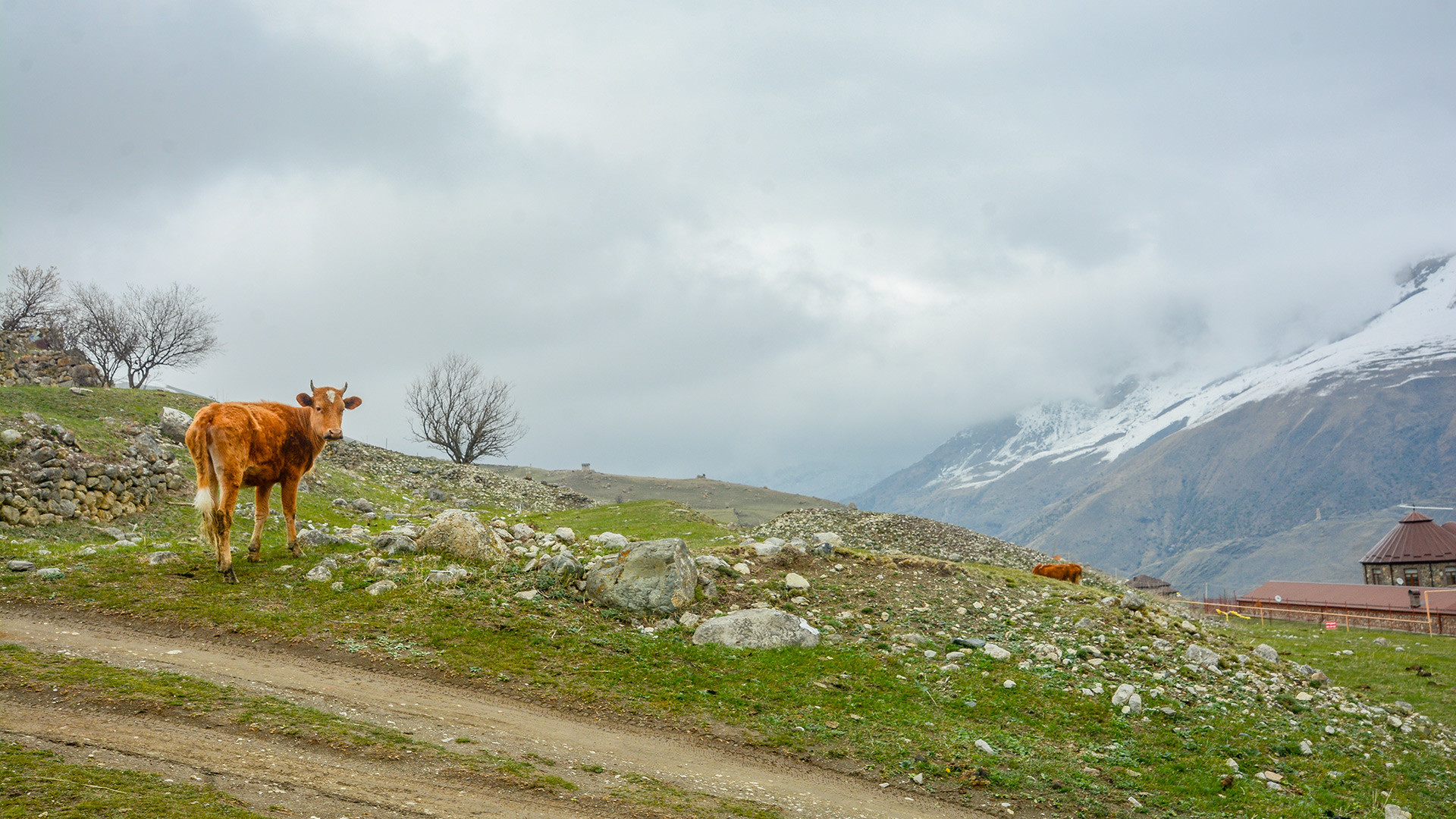 Горы Северной Осетии