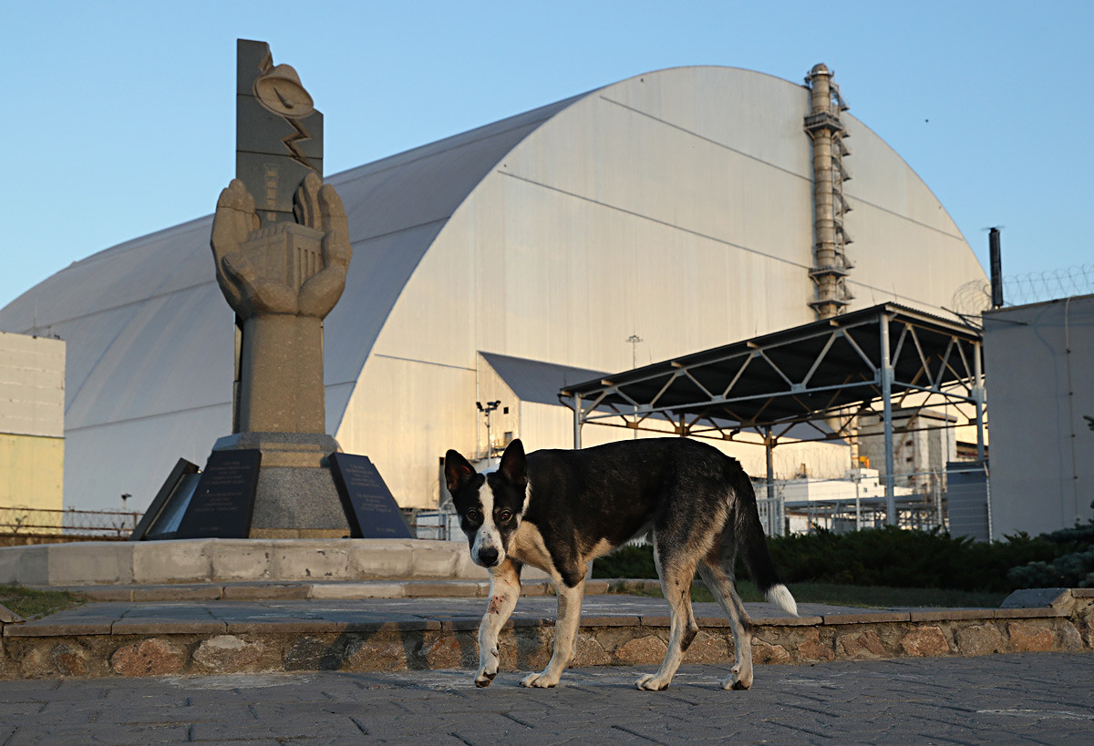 野良犬が記念像の前を歩いている。後には原発事故を起こした4号炉の周りに作られた新しい巨大な囲いがある。2017年8月18日。