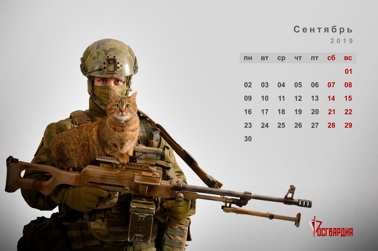 Вежливый солдат. Росгвардия календарь спецназ и котики. Вежливые люди. Кот солдат. Спецназ вежливые люди.