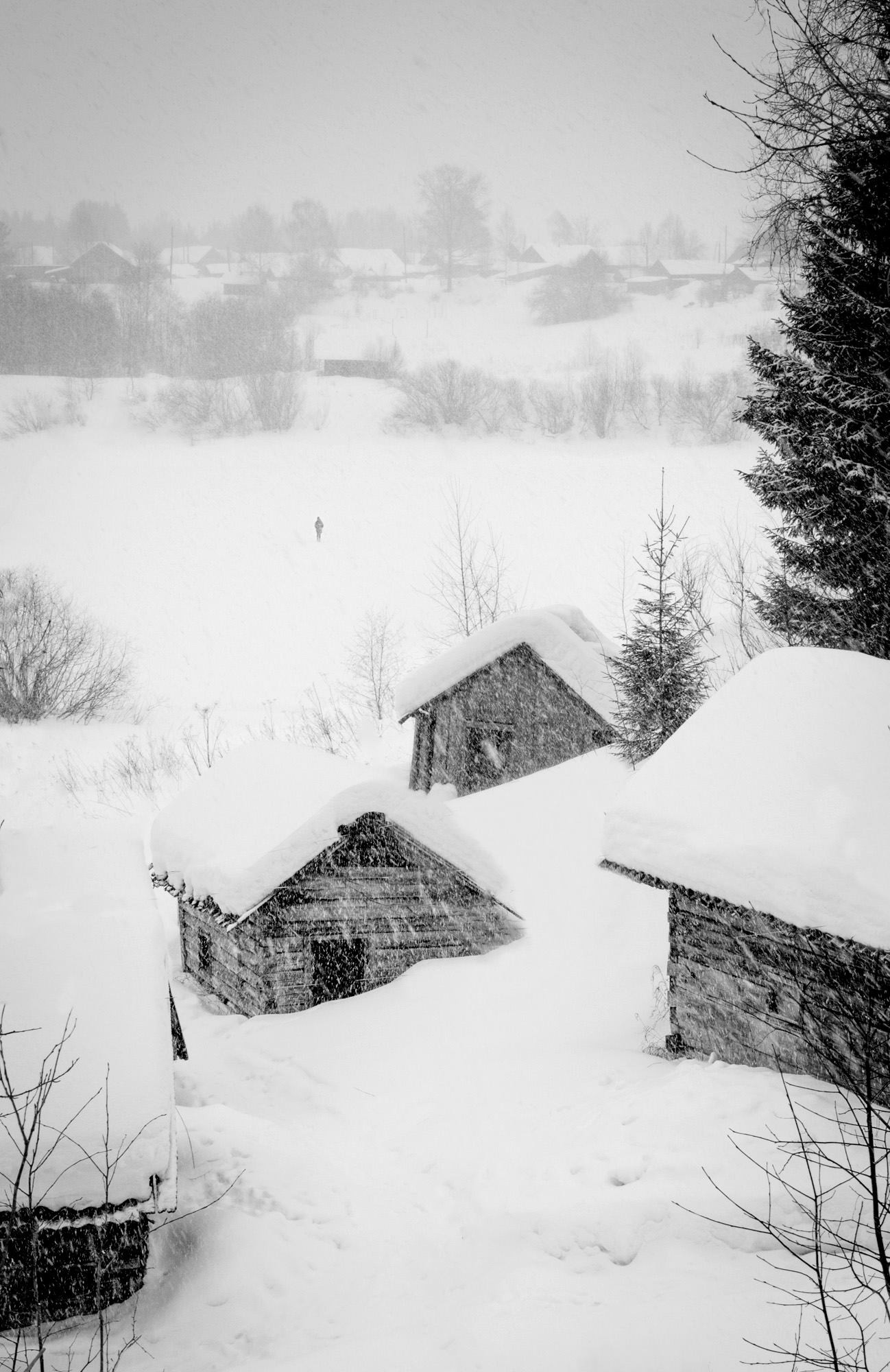 Des maisons abandonnées dans le village de Chelokhovskaïa

