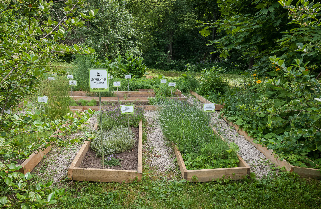 Scientist Andrey Bolotov's kitchen garden at Dvoryaninovo estate, Tula Region