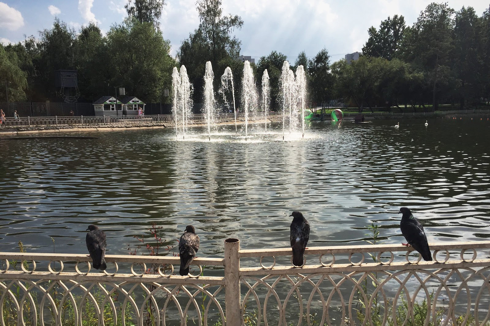 Lianozovsky Park of Culture and Recreation, Nizhny Lianozovsky Pond