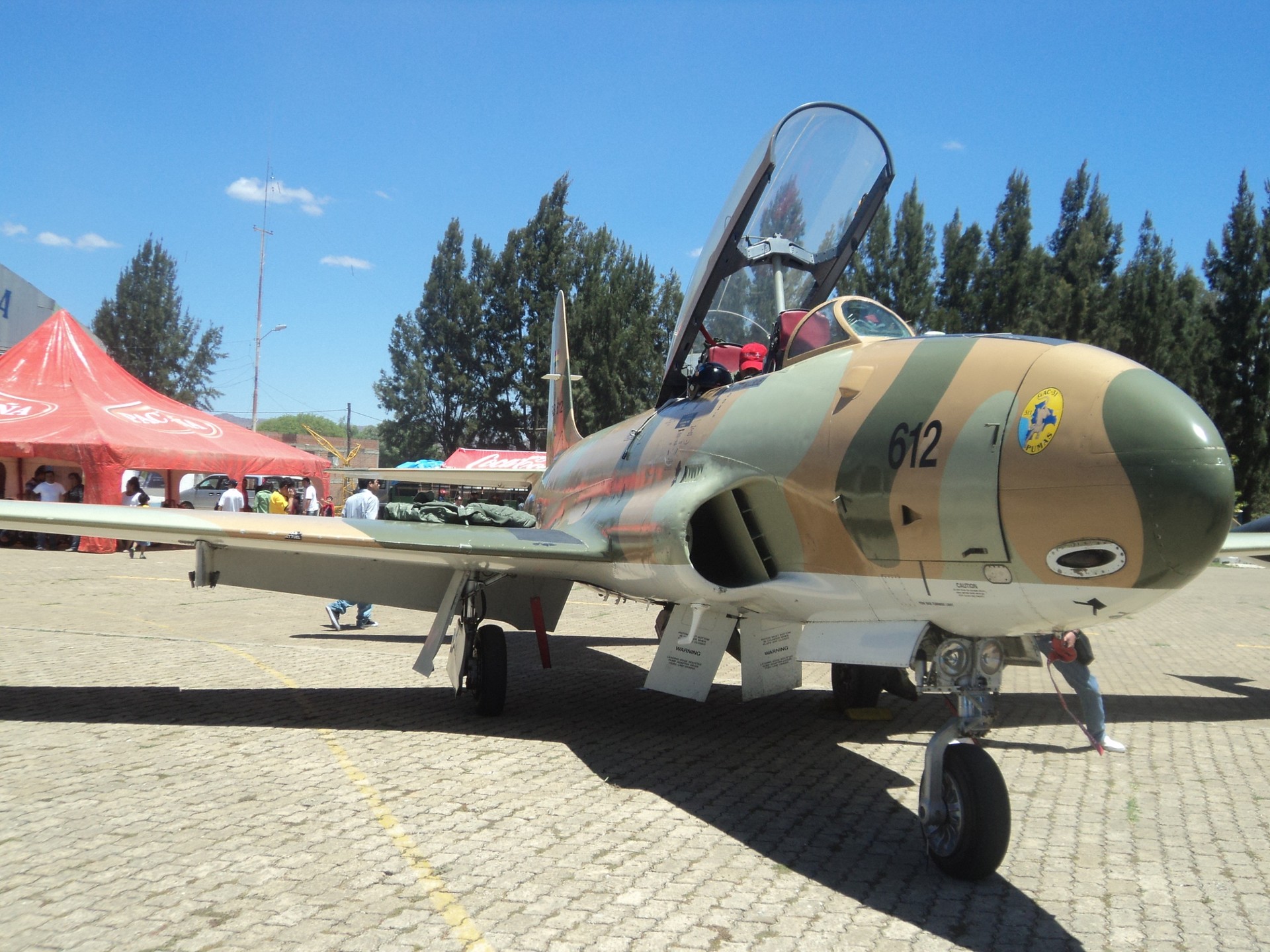 T-33 boliviano.