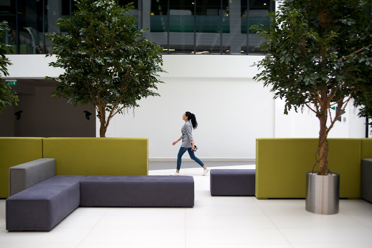 The hall at the university. 