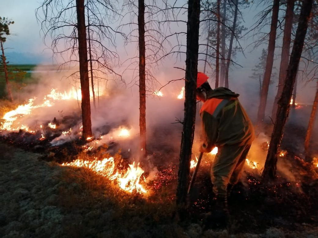 Funcionários do Ministério de Proteção da Natureza da região de Iakútia combatem incêndios florestais.