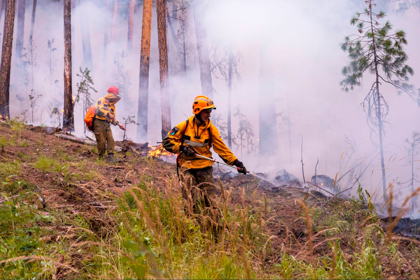 Incendios Forestales En Siberia Una Prioridad Después De La