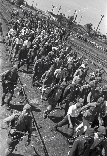 .Совјетско-јапански рат (9. август - 3. септембар 1945). 1. далекоисточни фронт, капитулација Квантунске армије, 1945.