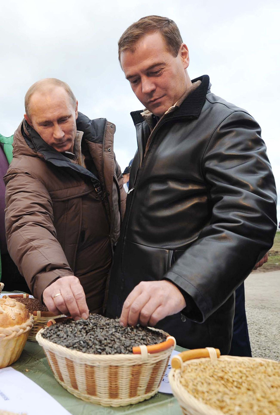 Даже Владимир Путин и Дмитрий Медведев при случае хищно тянутся к семечкам. 