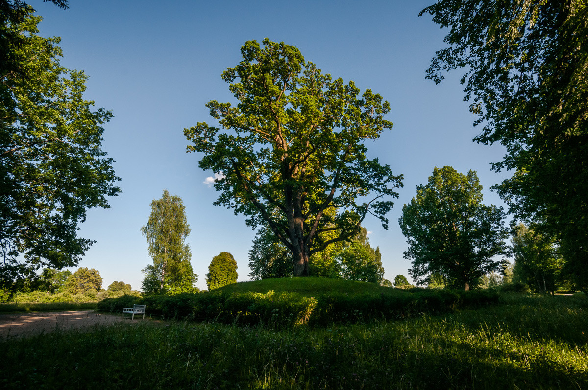 Trigorskoye estate