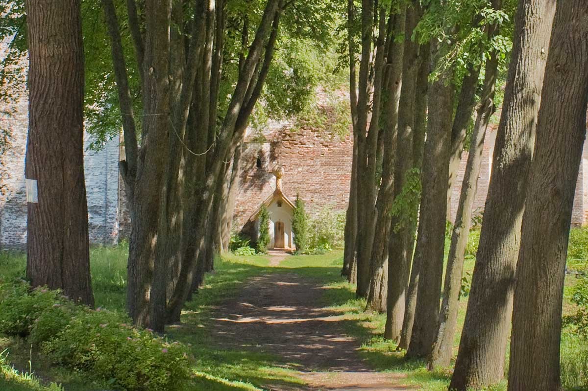 Monastery of Sts. Boris & Gleb, linden alley. View east toward shrine at cell of St. Irenarch. July 6, 2019