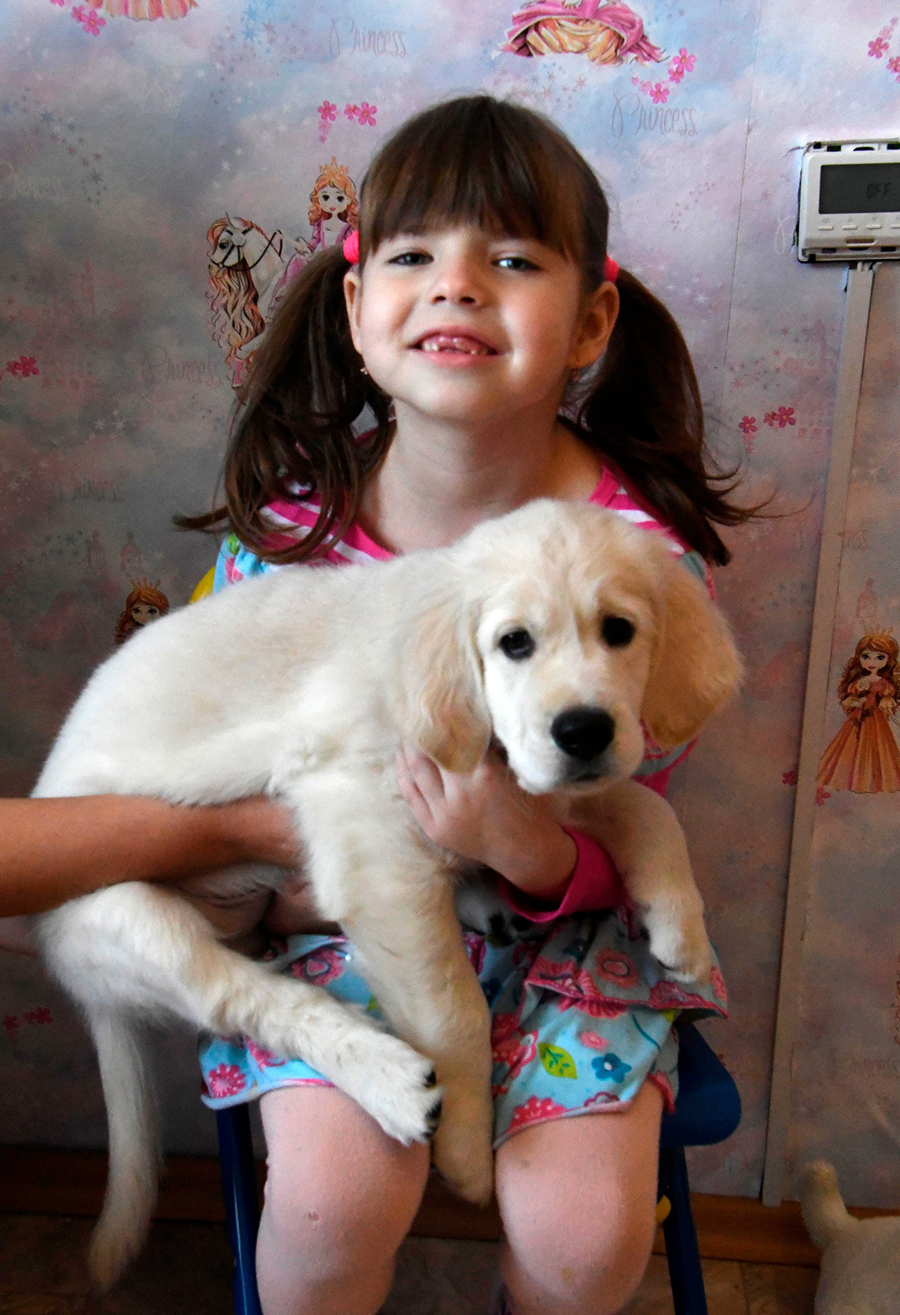 沿海州のヴェロニーカ・ウヴァエヴァとゴールデンレトリバーの子犬