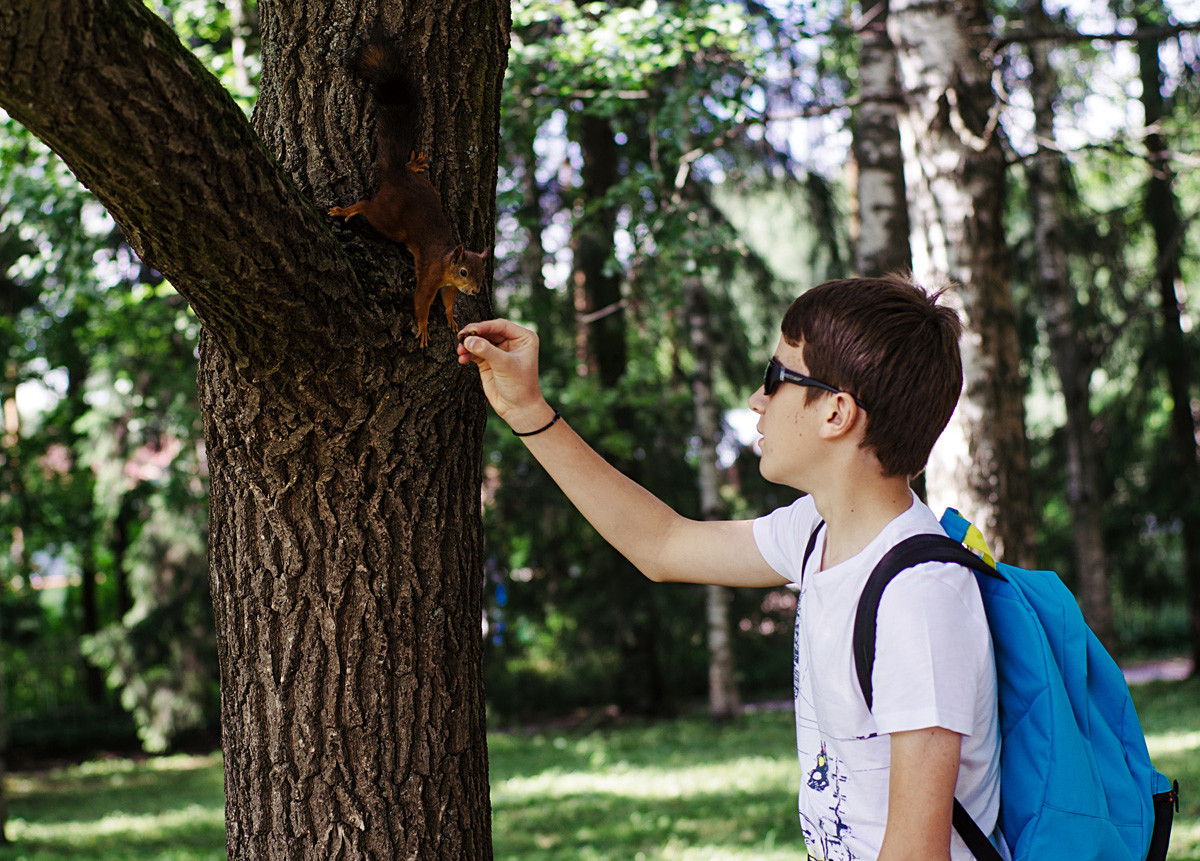 Дечак храни веверицу у парку-резервату Павловск близу Санкт Петербурга.