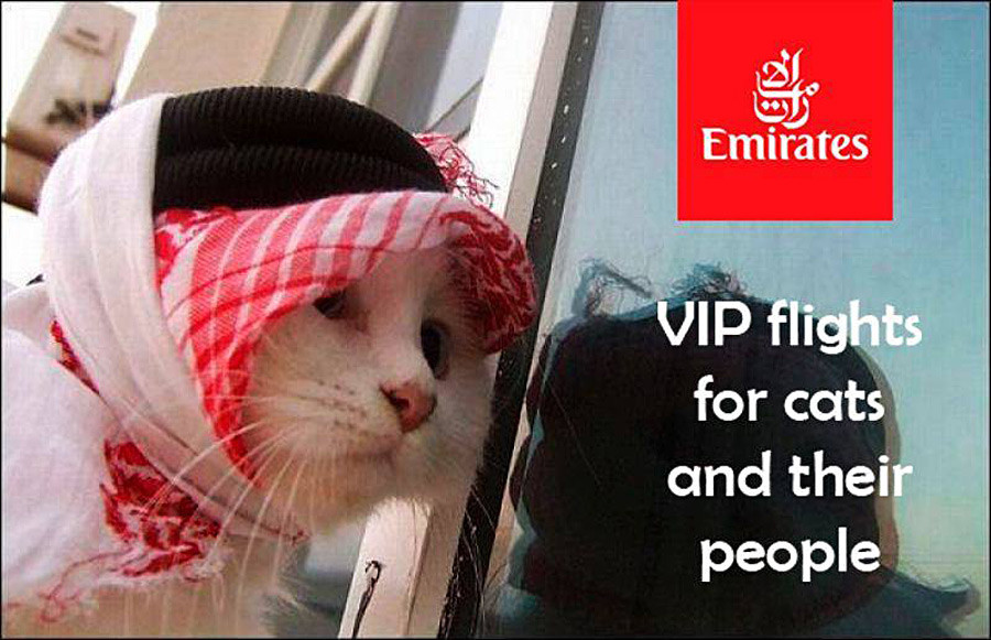 »Emirates - VIP poleti za mačke in njihove ljudi«

