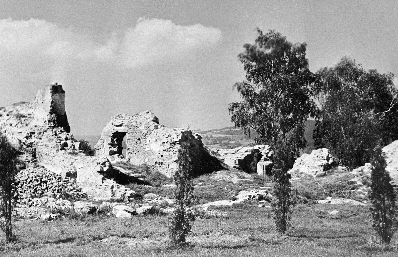 Ruines du château Jagellon