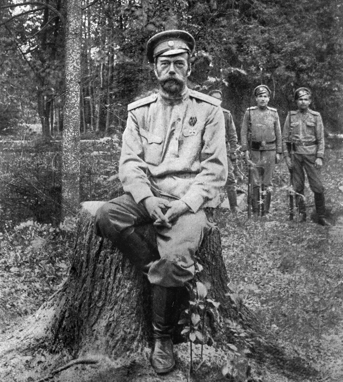 Nicholas Romanov, no longer a tsar, in Tsarskoye Selo in 1917.