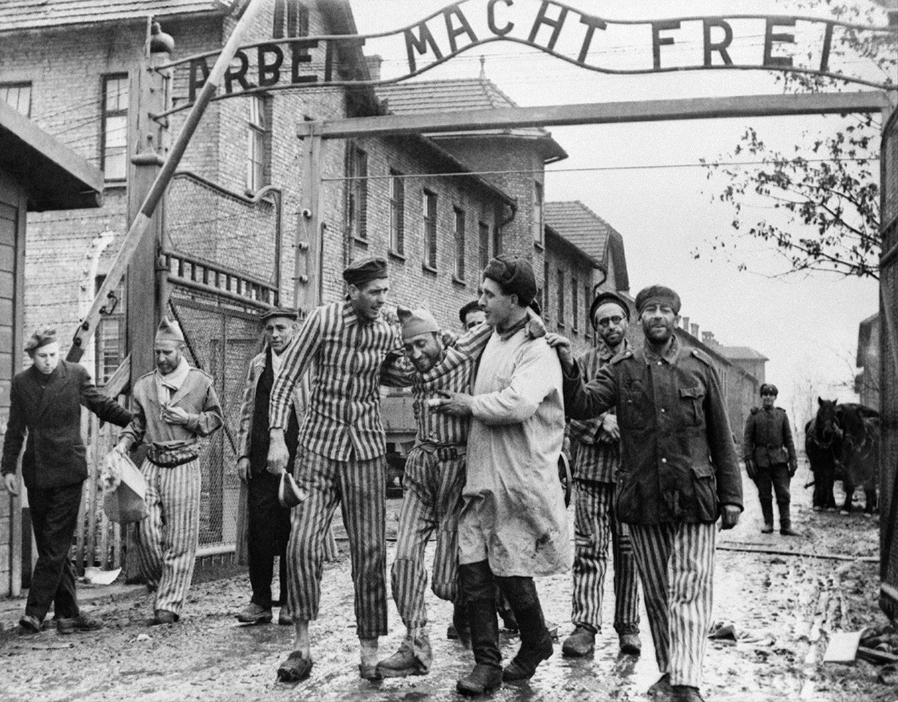 Liberated by the Soviet army, prisoners exit the labor camp Auschwitz-Birkenau, 1945
