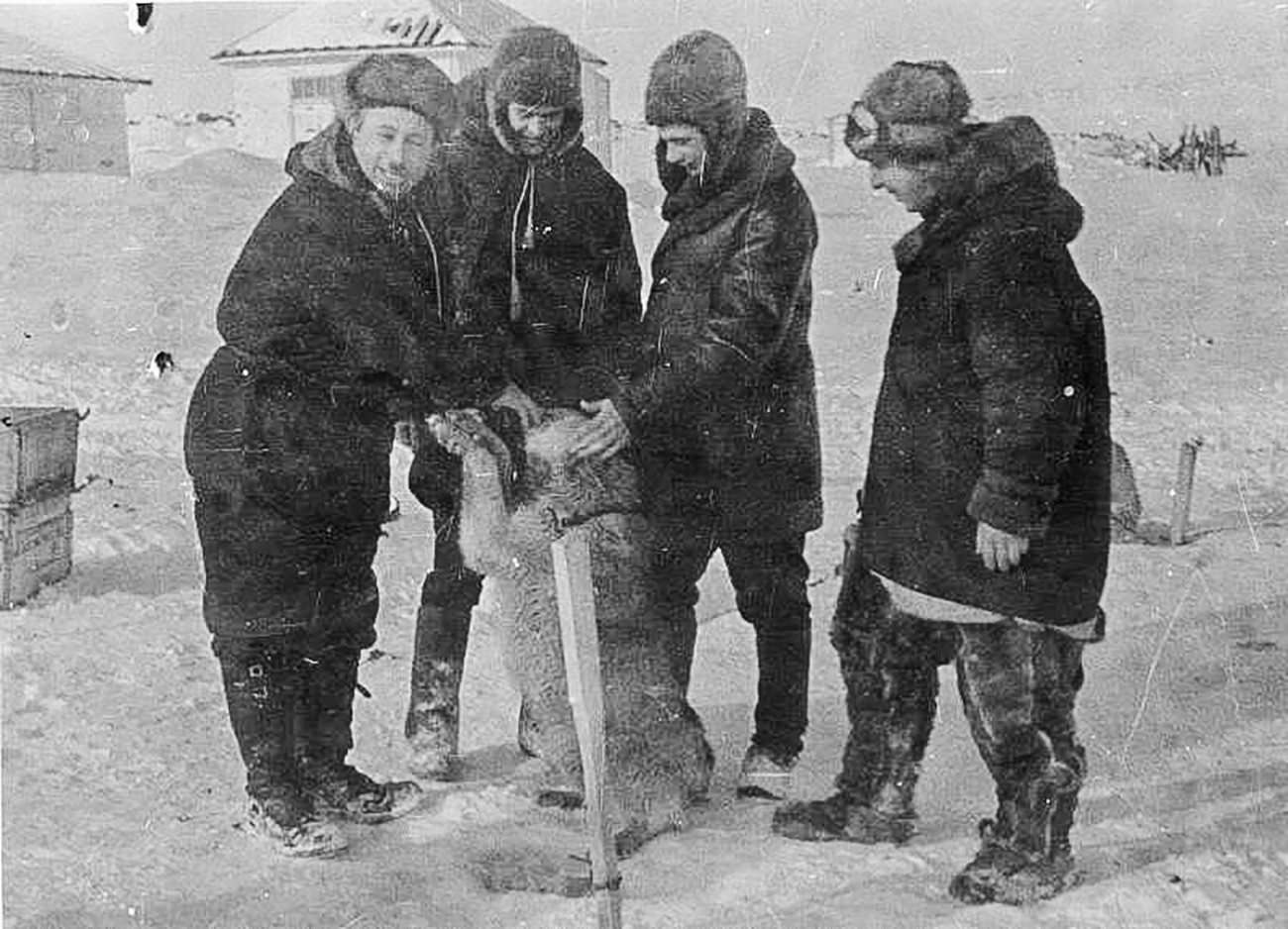 Експедиција се искрцала на лед 21. маја 1937. Плутајућа станица „Северни пол 1“ званично је отворена 6. јуна 1937. Пети „члан посаде“ је била поларна лајка, пас по имену Весели.