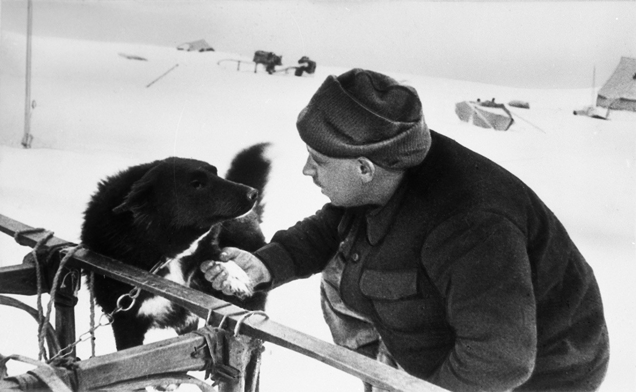 Прва совјетска поларна научноистраживачка плутајућа станица „Северни пол 1“, од 21. маја 1937. до 19. фебруара 1938. Руководилац станице Иван Дмитријевич Папањин са псом Веселим.