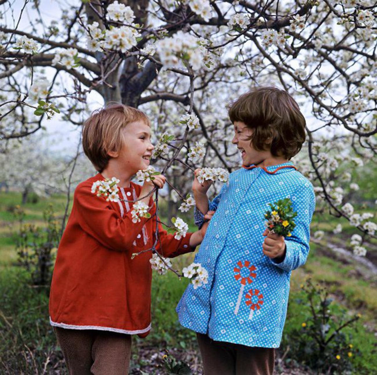 Spring conversation, 1971