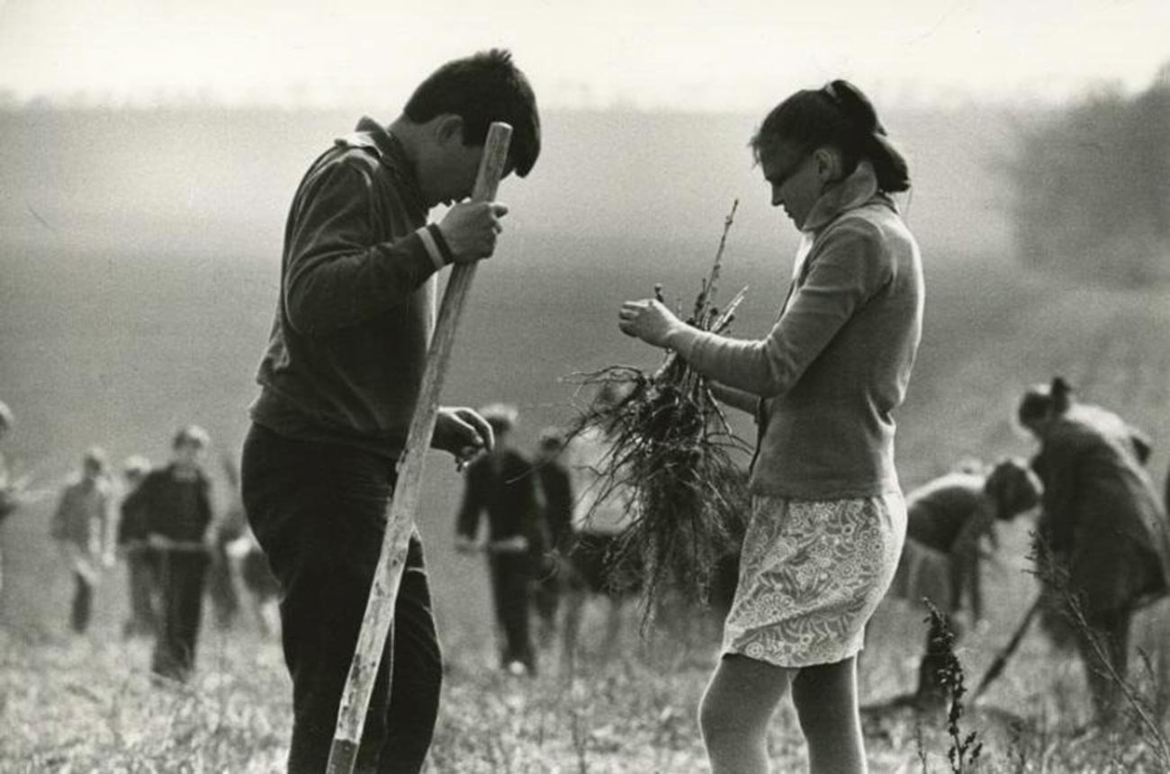植樹する生徒たち、1972年