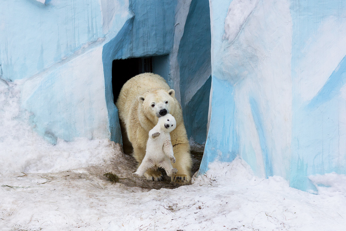 ノヴォシビルスク動物園