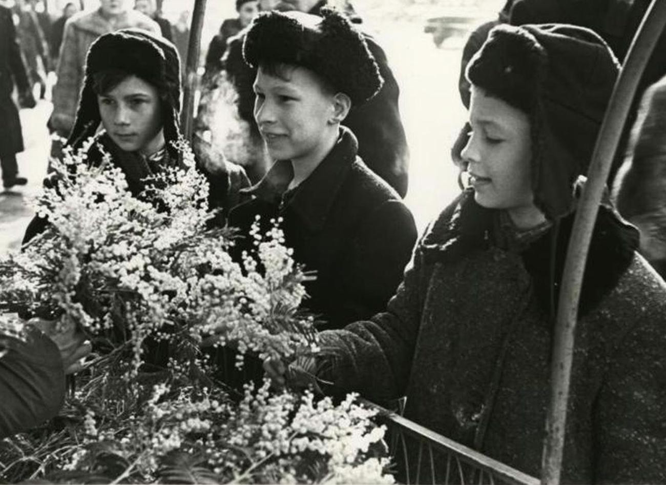 Jungen kaufen Mimosen für den Internationalen Frauentag am 8. März 1959
