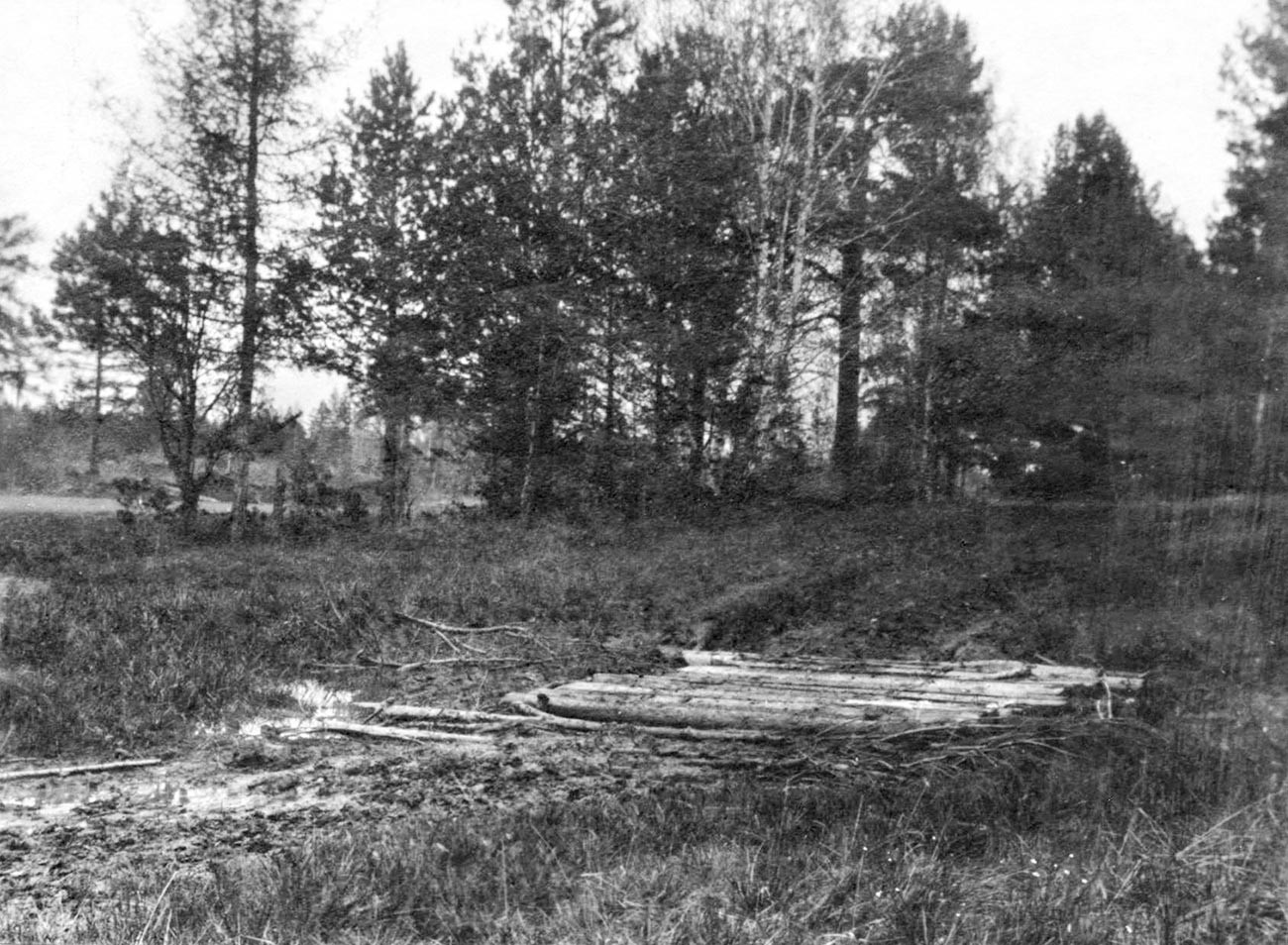 The Porosenkov Ravine. The gravesite of Nicholas II, his family, and servants on Koptyaki Road beneath boles and railroad ties.