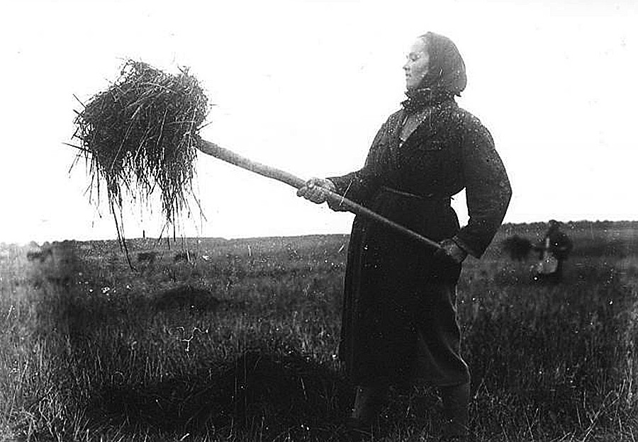 A female worker haymaking  