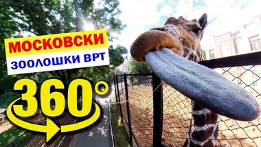 Московската зоолошка градина во видеоформат од 360 степени