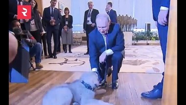 Се сеќавате ли на првата средба на Путин со шарпланинецот Паша? (ВИДЕО)