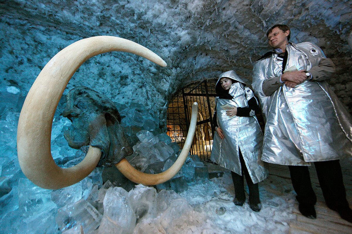  Two scientists wearing silver protective clothing examine a woolly mammoth that has been preserved in the ice of a Siberian cave.