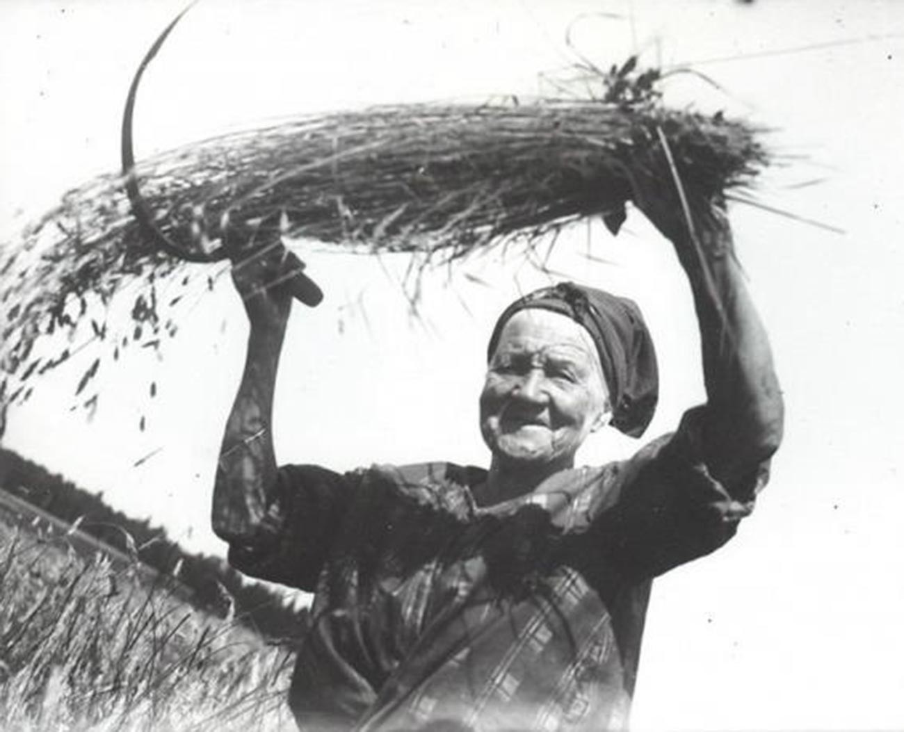 Seorang perempuan tua mengangkat seikat gandum.