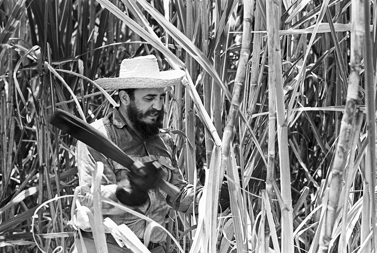 Fidel Castro dans une plantation de canne à sucre, 1969