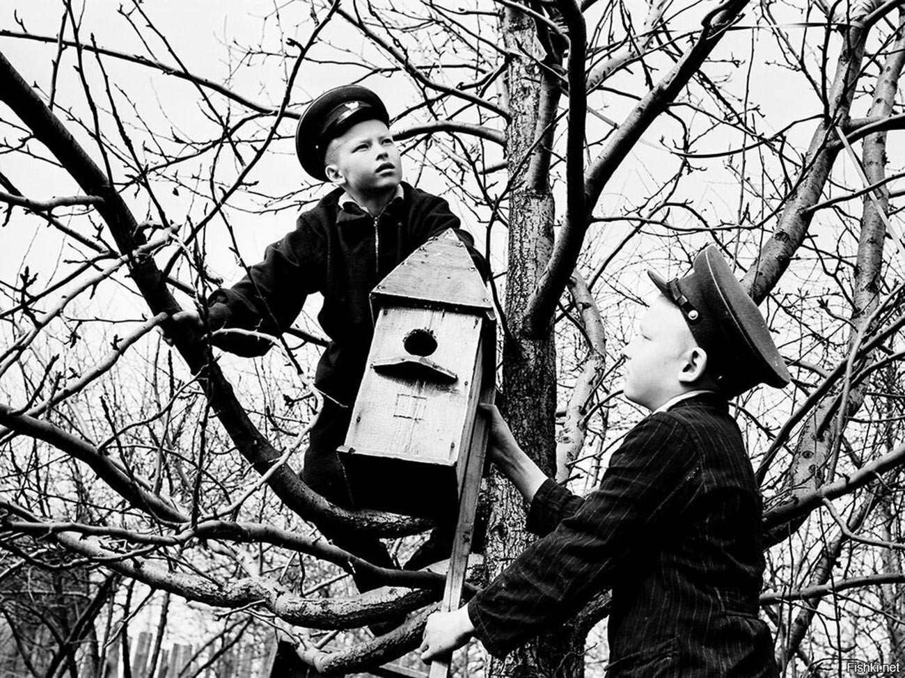 Des écoliers préparant l’arrivée des oiseaux, 1959