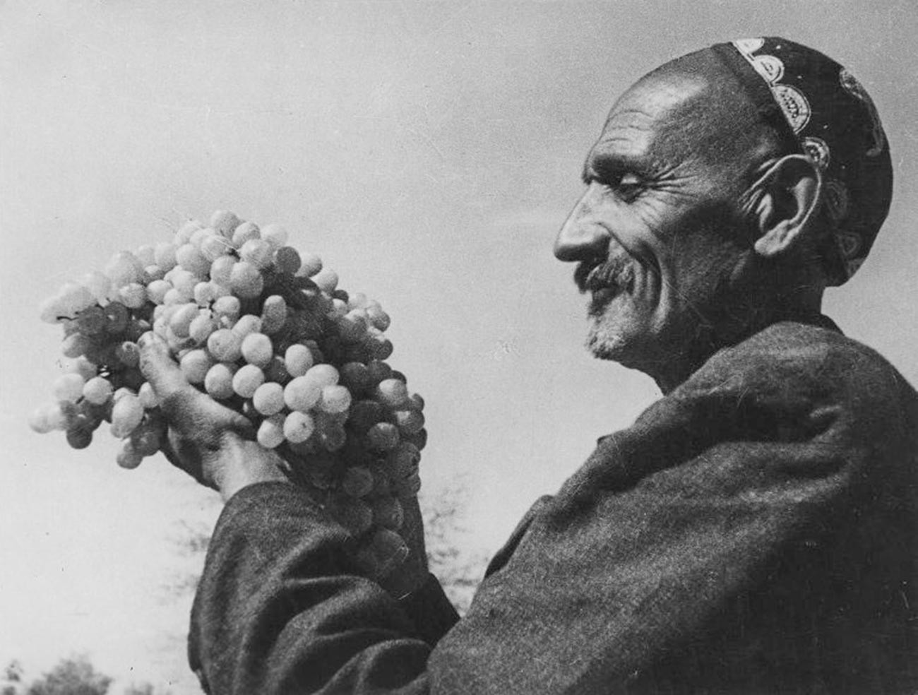Лучший виноградарь Узбекской республики орденоносец Ризамат Мусамухамедов вывел особый сорт винограда в Узбекистане «Рундвайс», 1939 год.