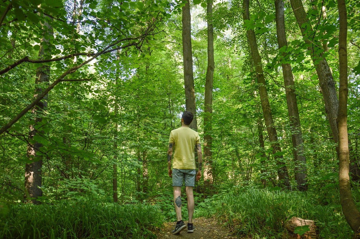 La forêt de Tsaritsyno, l'un de mes lieux favoris à Moscou