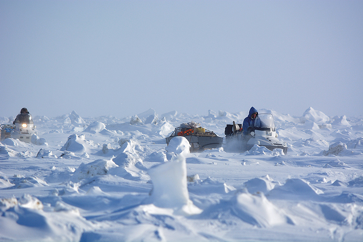 Bear patrol in Chukotka