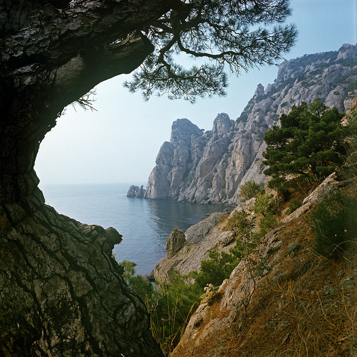 The southern coast of Crimea, 1981 