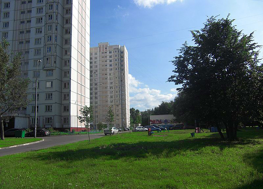 Улица Алије Молдагулове у Вешњацима.