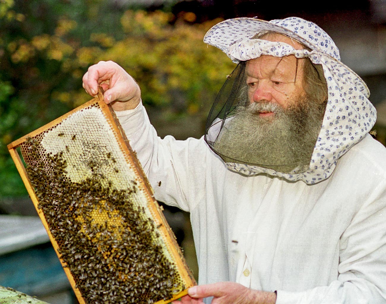 Una fase della produzione del miele 