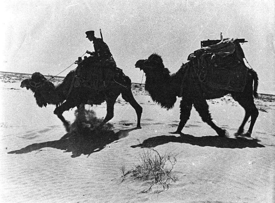 Saviez-vous que des chameaux ont servi dans l’armée soviétique? Sur la photo : un garde-frontière dans l’Asie centrale soviétique.
