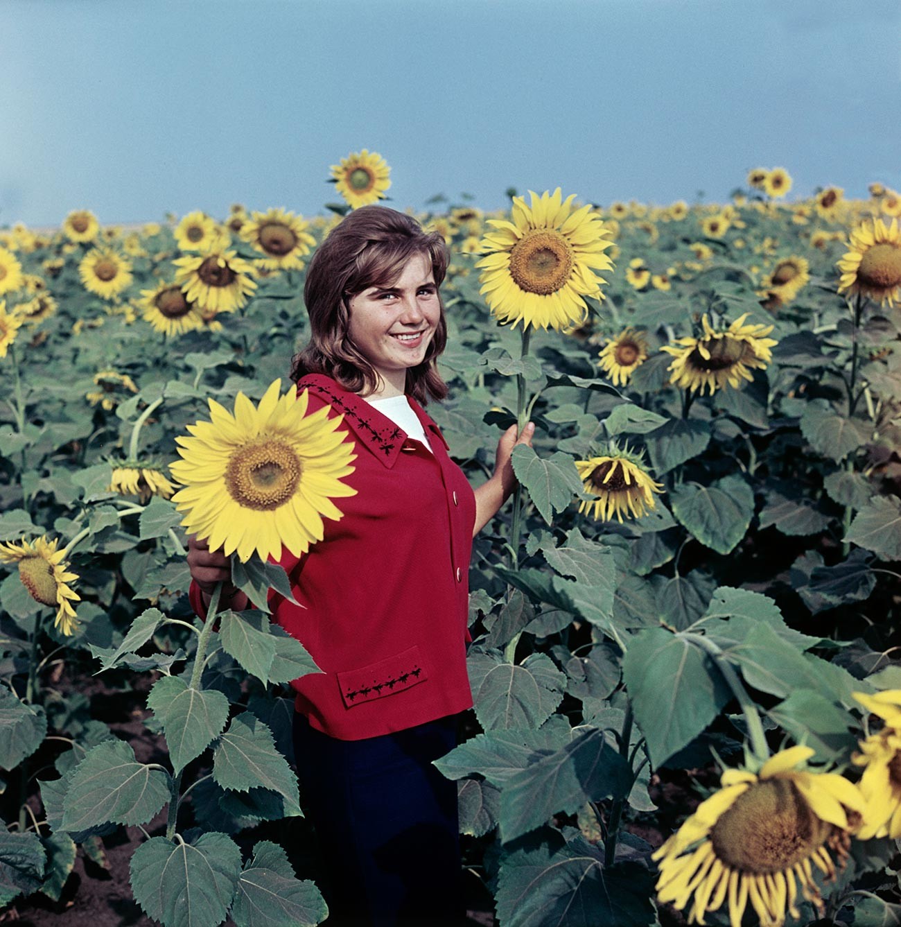 Olga Grigorenko, Arbeiterin der Kolchose „Lenins Vermächtnis“, auf einem Sonnenblumenfeld, 1966