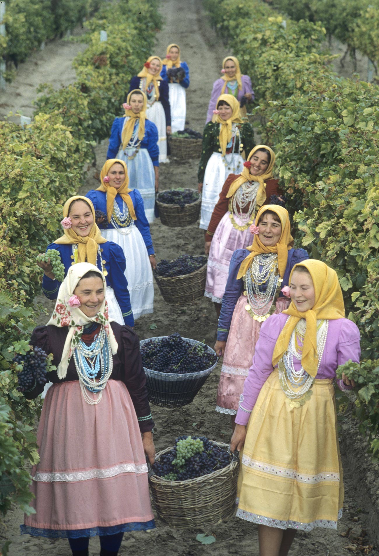 Cosecha de uva en un pueblo de Moldavia, 1982.