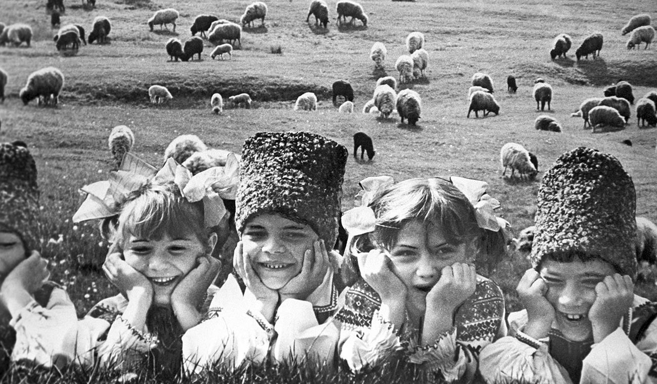 Skrb za ovce, 1989

