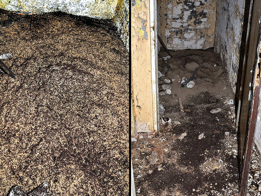 U krupnom planu je kolonija mrava u bunkeru.

